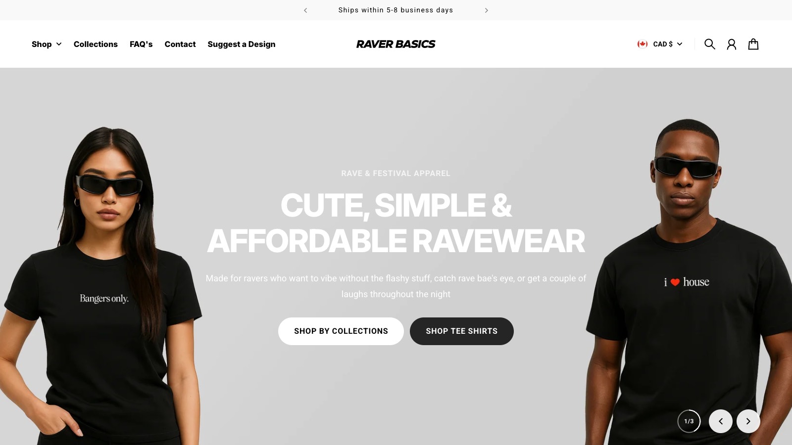 The Raver Basics website